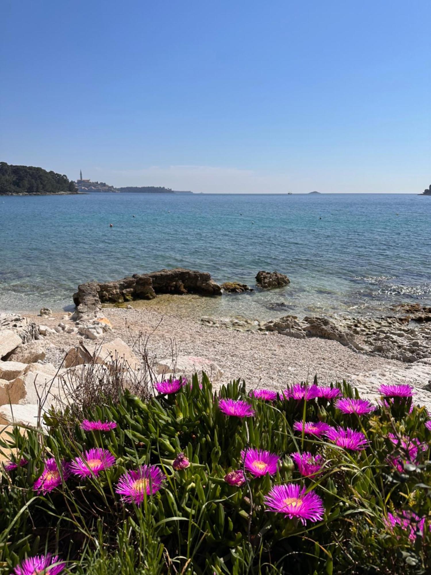 Villa Anthony Rovinj Exterior foto
